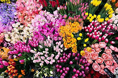 Epic老大：虚幻引擎6将打通《堡垒之夜》和其它游戏